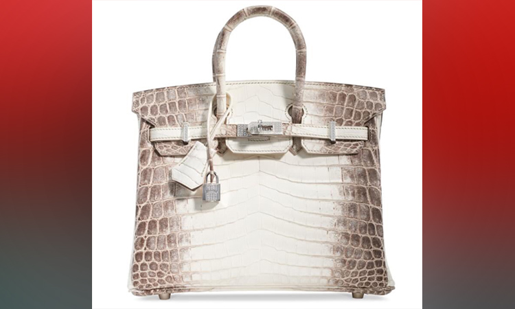 Most Expensive Birkin Bag - Mini Diamond Hermes Bags
