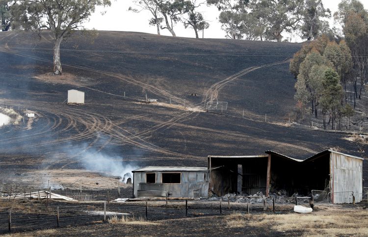 Cooler weather brings temporary relief to fire-ravaged Australia