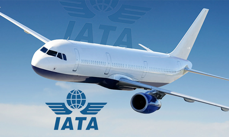 IATA plans air travel without passports and tickets in future - GulfToday