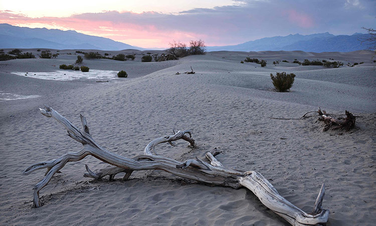 Tourists still flock to Death Valley amid searing US heat wave blamed ...