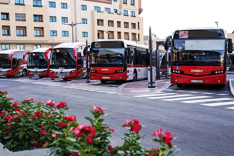 RTA-buses-750x450