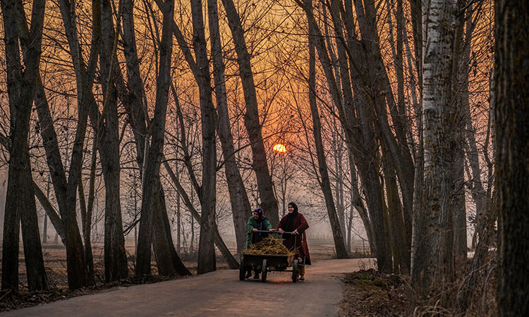 Kashmir1-evening