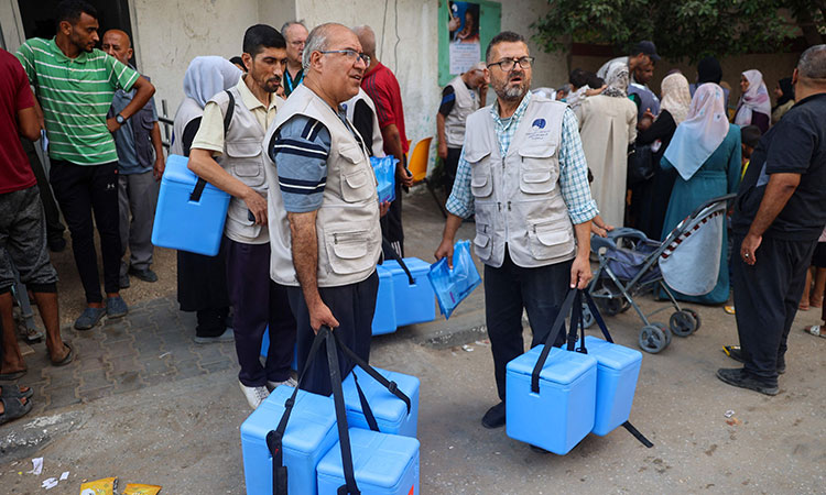 Gazapolio-volunteers