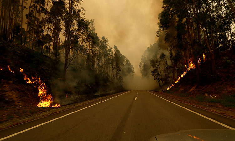 Forestfire-Portugal