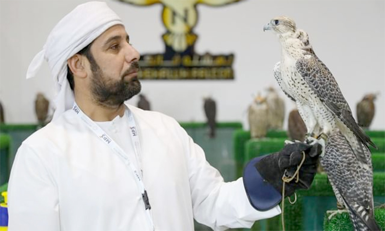 ADIHEX-Falcon-Beauty-Contest2-750