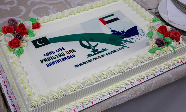 DefenceDay-cake