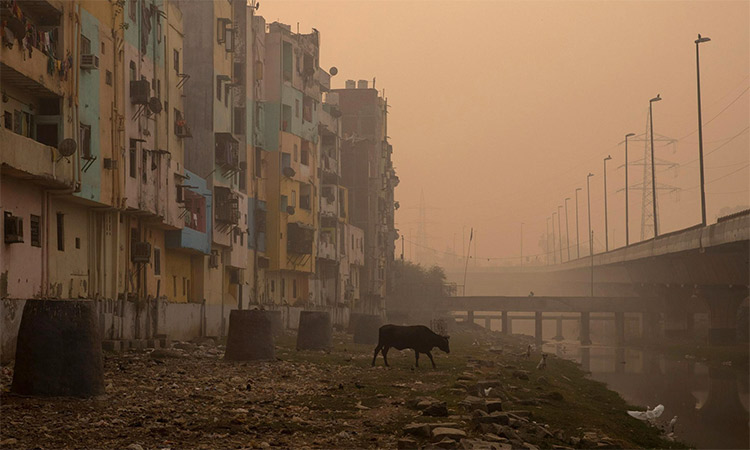 A residential area is shrouded in smog in New Delhi, India. Reuters