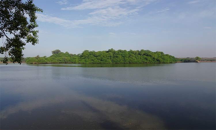 India's wetland.