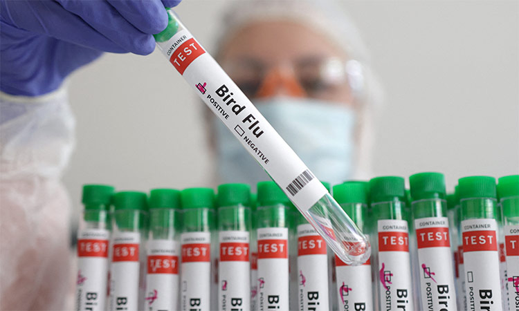 A person holds a test tube labelled 'Bird Flu', in this picture. Reuters