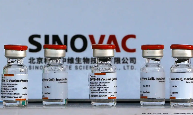 Sinovac vaccine.