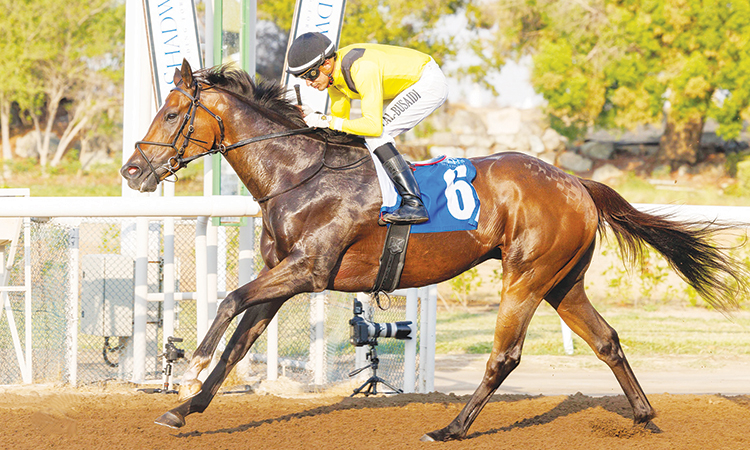 Following his remarkable success in the opener with a clean sweep in five races and a double at the next two meetings, trainer Michael Costa aims to continue his dominance at Jebel Ali.