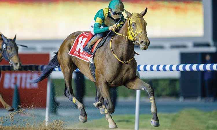Ushba Tesoro is among 200-strong Japanese nominations for the 28th edition of Dubai World Cup.