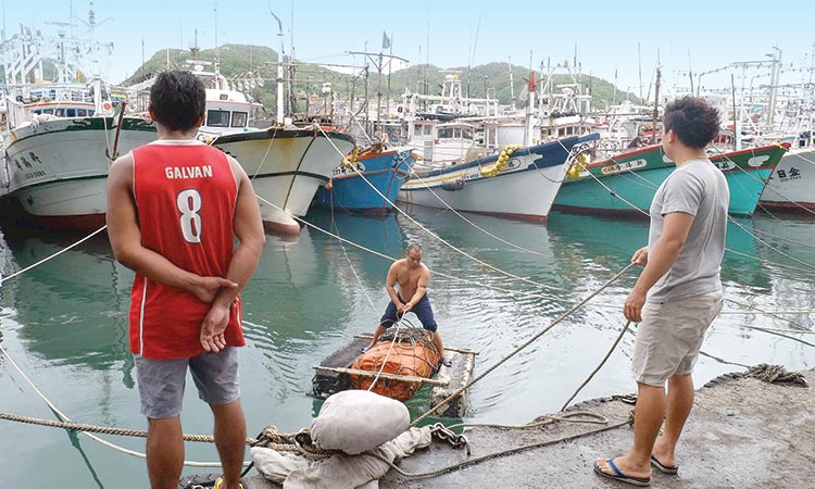 Mass fish deaths in European river blamed on toxic algae