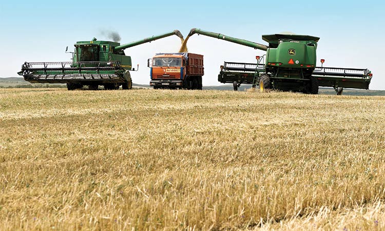 Russia tightens grip on grain  exports with new association