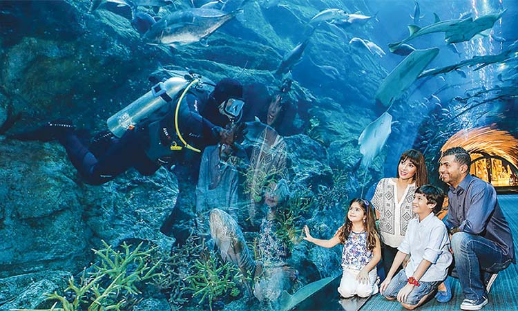 Dubai Aquarium voted best in the world