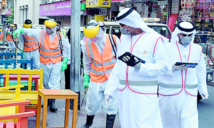 Dubai launches sterilisation campaign