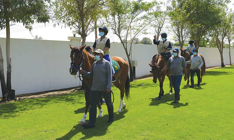 Dubai Police horses share a   special bond with orphans