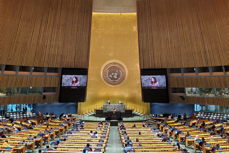 UAE elected to UN Security Council