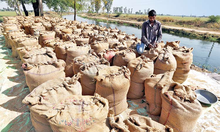 India’s curbs on rice exports to  end a decade of price stability