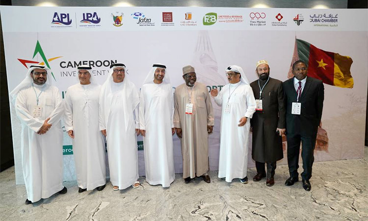 Cameroon explores new avenues of cooperation with UAE investors