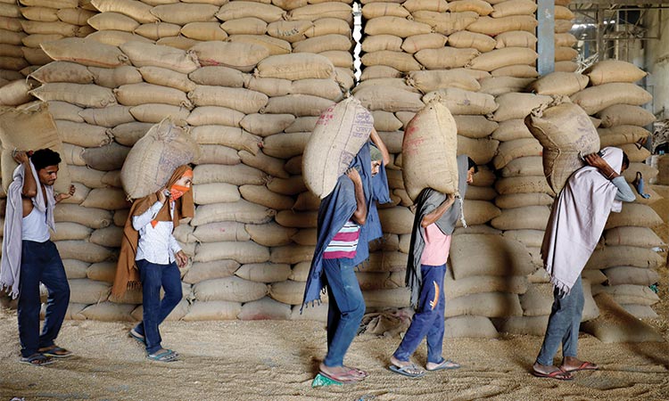 Wheat prices hit record high