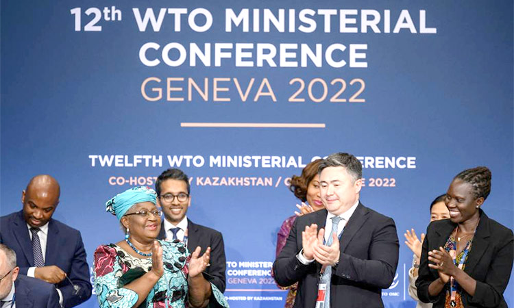 WTO strikes global trade deals after ‘roller coaster’ negotiations