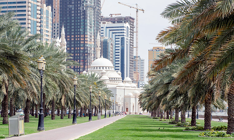 Sharjah’s real estate sector records considerable growth