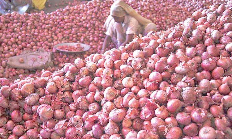 India procures 2.5 lakh tonnes of onions