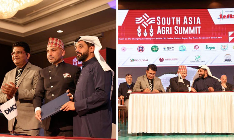 DMCC, BSAF to   boost UAE agri   commodities   trade with S.Asia