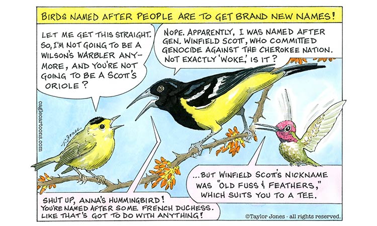 Birds named