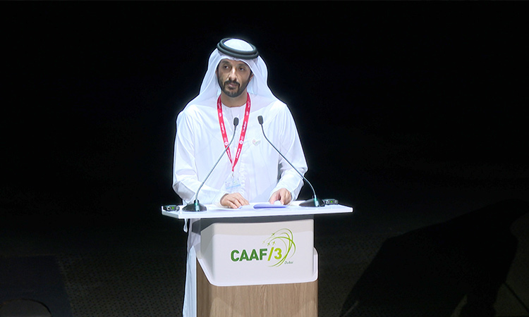 UAE one of first countries to adopt  sustainability in aviation: Minister