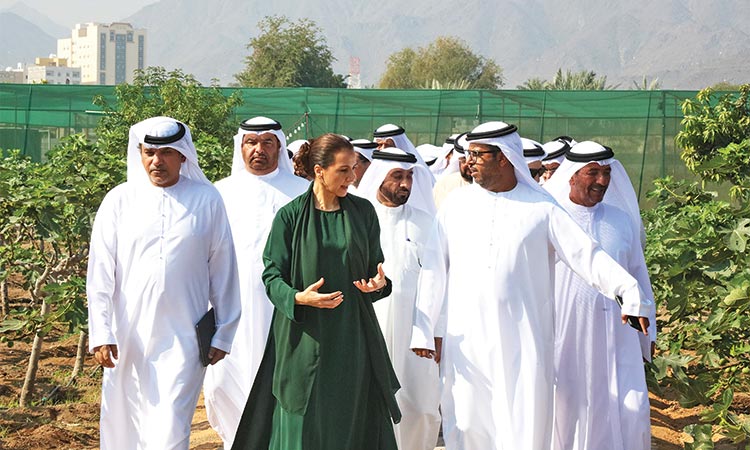 UAE Farmers Council reviews initiatives