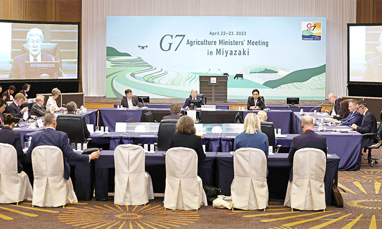 G-7 to aid farm productivity growth to boost food security