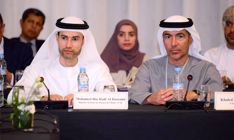 UAE participates in high-level  workshop on Climate Finance