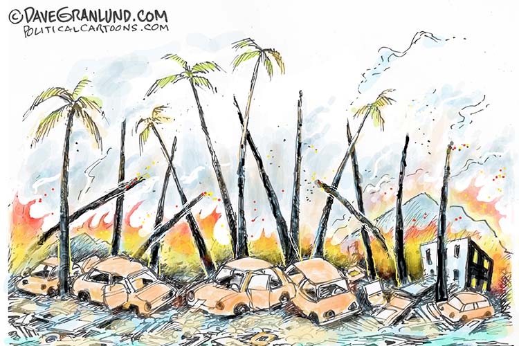 Hawaii wildfires take a toll on climate