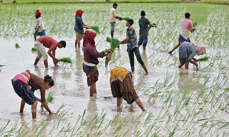 Helping Indian women farmers withstand climate change