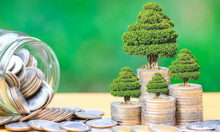 UAE boosts its leadership across green  finance