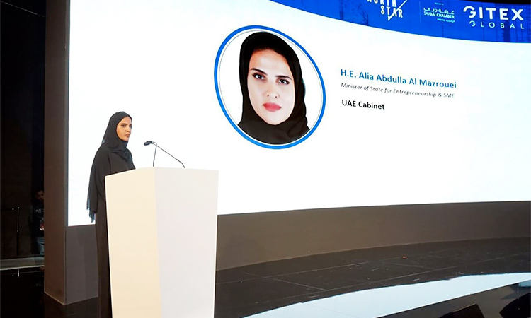 UAE boasts comprehensive entrepreneurship, SME ecosystem