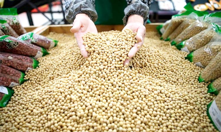 Chinese lessen dependence on US farm imports