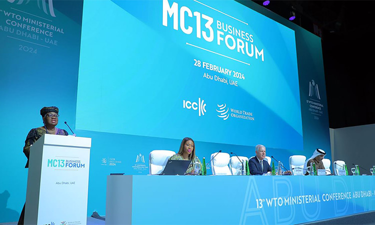 Business community engagement and support are crucial: WTO DG