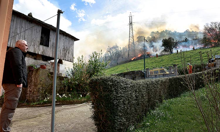 Spain braces for wildfires as beef farmers battle red tape