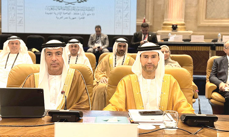 UAE stresses Arab partnerships for new development projects