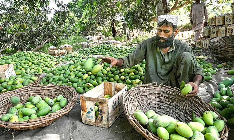 Pakistan eyes 3.6% growth for next year, inflation to dip to 12%