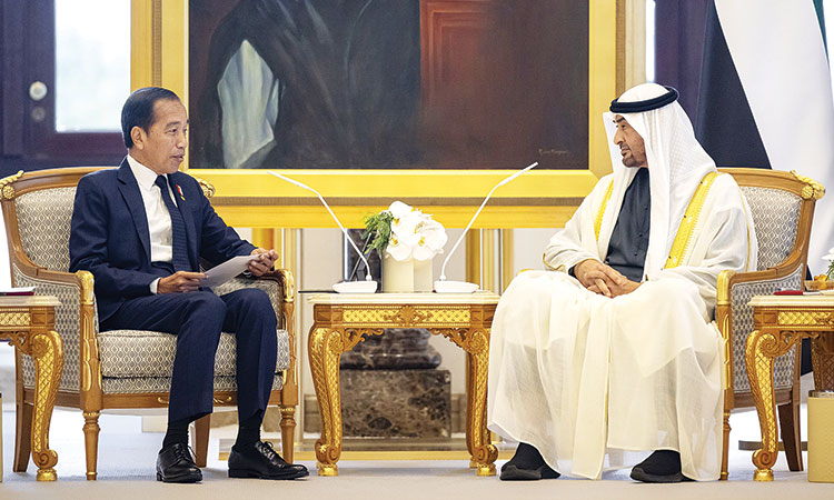 UAE and Indonesian Presidents discuss  economic partnership