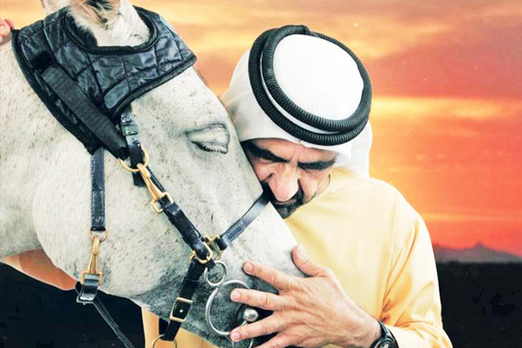 Sheikh Mohammed reveals his passion for horses in new Tiktok video