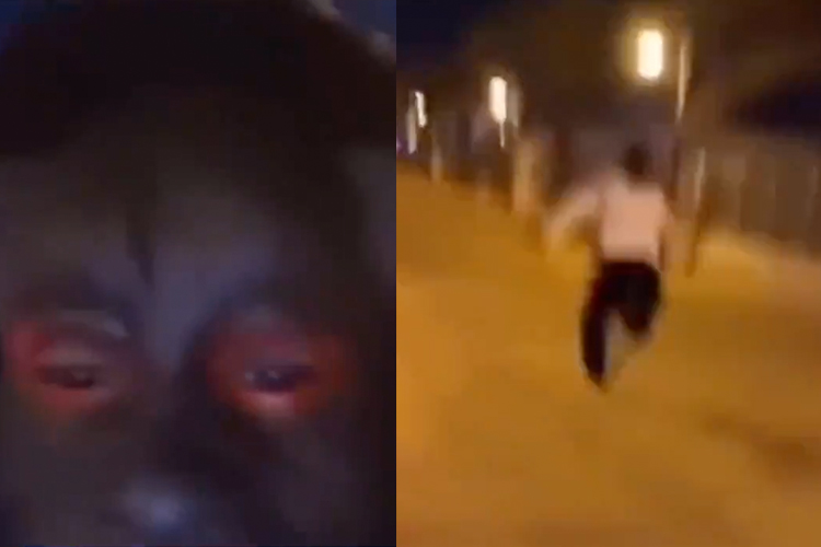 VIDEO: Four Saudis arrested for scaring people by wearing monkey masks in Riyadh