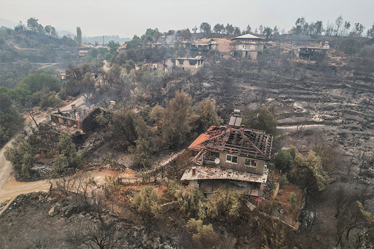 'Like a bomb': Turkish farmers watch animals perish in flames