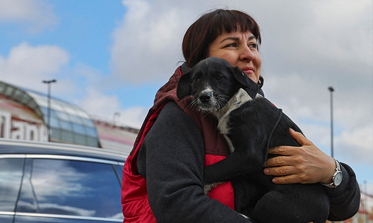 Abandoned in east Ukraine, cats and dogs look for new homes in Russia