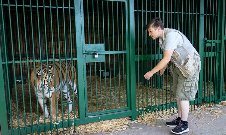 Ukrainian risks her life to rescue wild animals from war