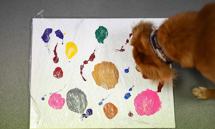 Art for bark's sake: stray dogs take up painting for UK charity